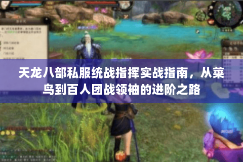 天龙八部私服统战指挥实战指南，从菜鸟到百人团战领袖的进阶之路