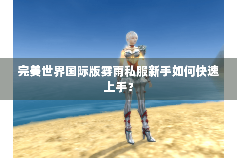 完美世界国际版雾雨私服新手如何快速上手？